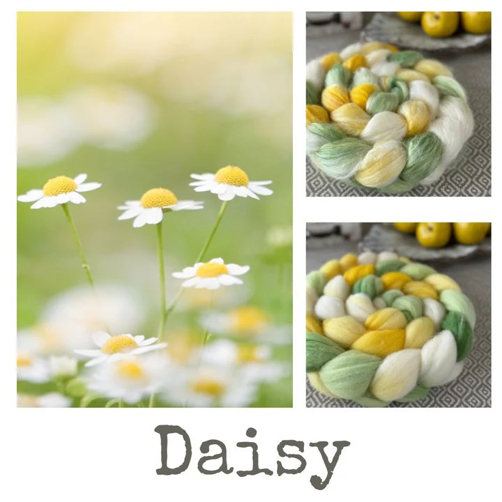 A photo of a field of daisies and two braids of wool dyed in coordinating colors with the word Daisy beneath
