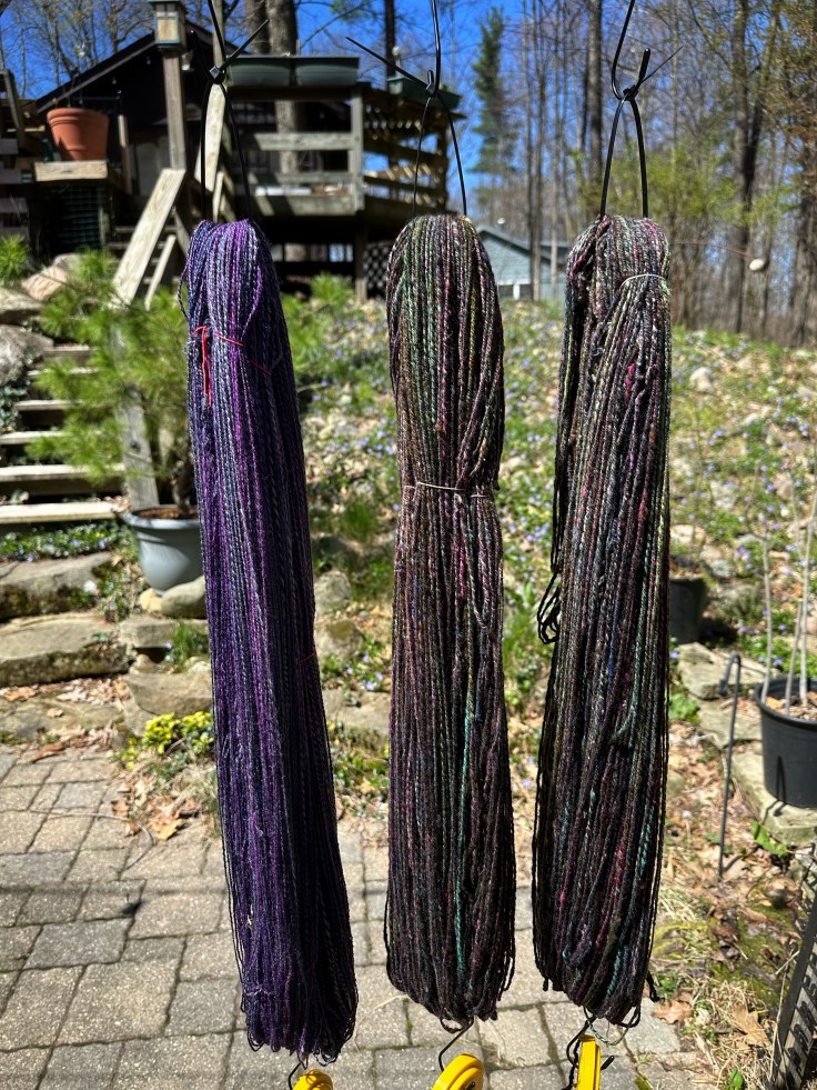 3 skeins of hand spun yarn hanging up to dry in the sun